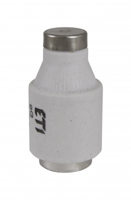 Предохранитель D III  gG 50A/500V (E33)